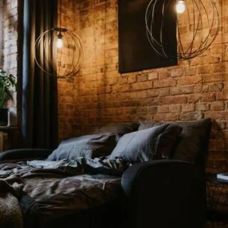 Mikro Czarne Studio Vintage 公寓 *