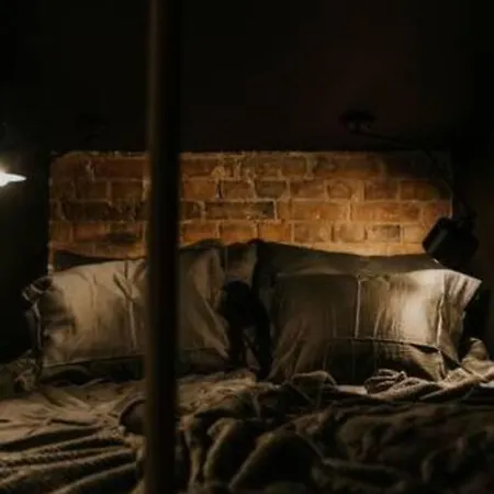 公寓 Mikro Czarne Studio Vintage 波兹南