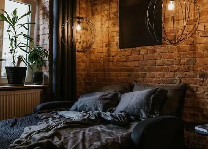 Mikro Czarne Studio Vintage 公寓