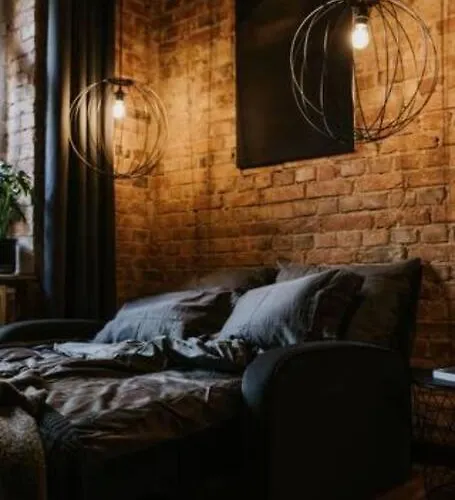 Mikro Czarne Studio Vintage 公寓 *